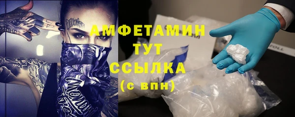 индика Верхний Тагил