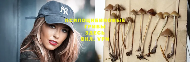 Псилоцибиновые грибы Magic Shrooms  где продают   Барабинск 